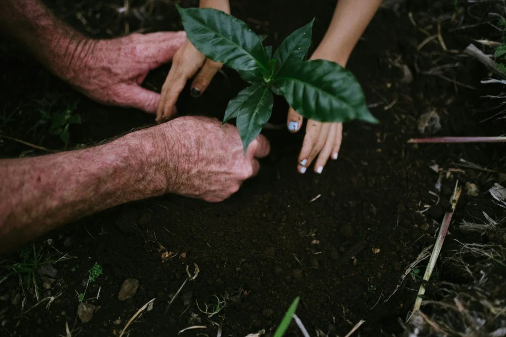 compost business idea
