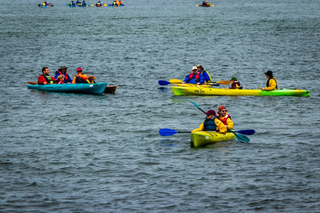 guided kayaking adventure on a river