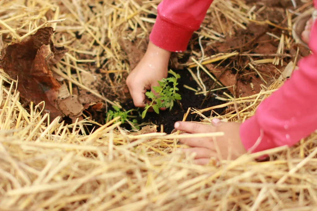 farm education workshop