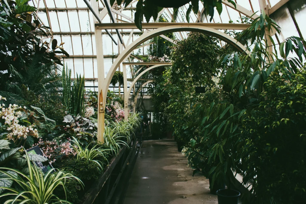 aquaponics farming system