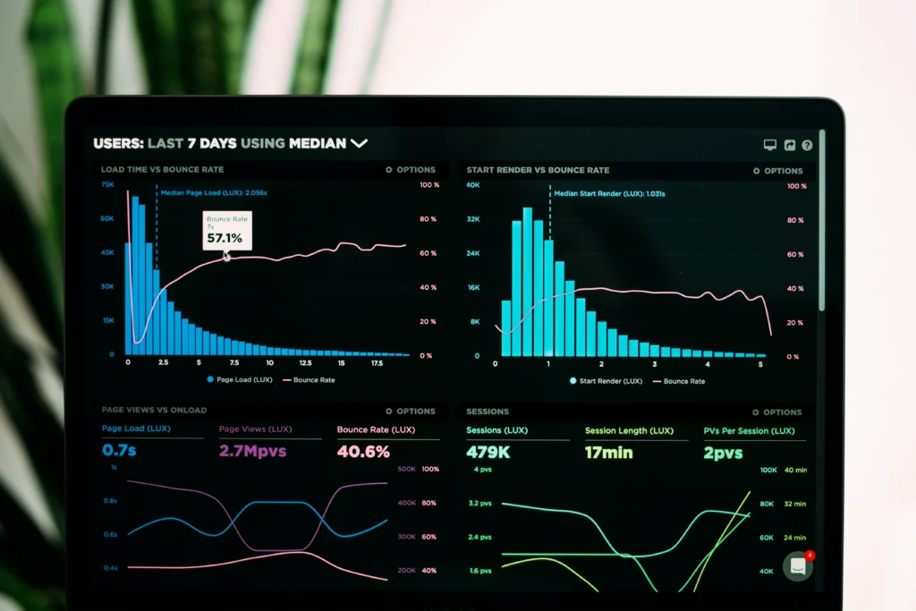 SaaS tool showing analytics and user management features.