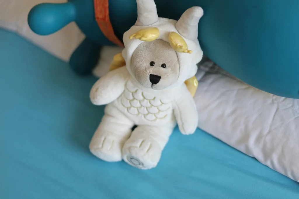  Personalized plush toy with child’s name